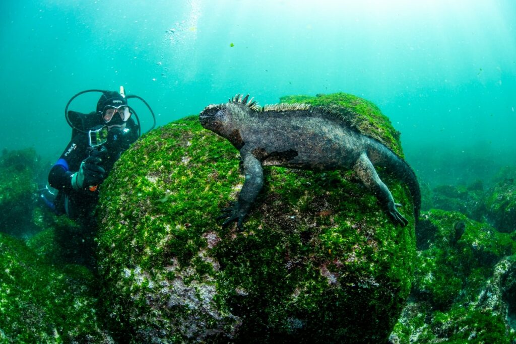 Galapagos Mike Suender Medium3