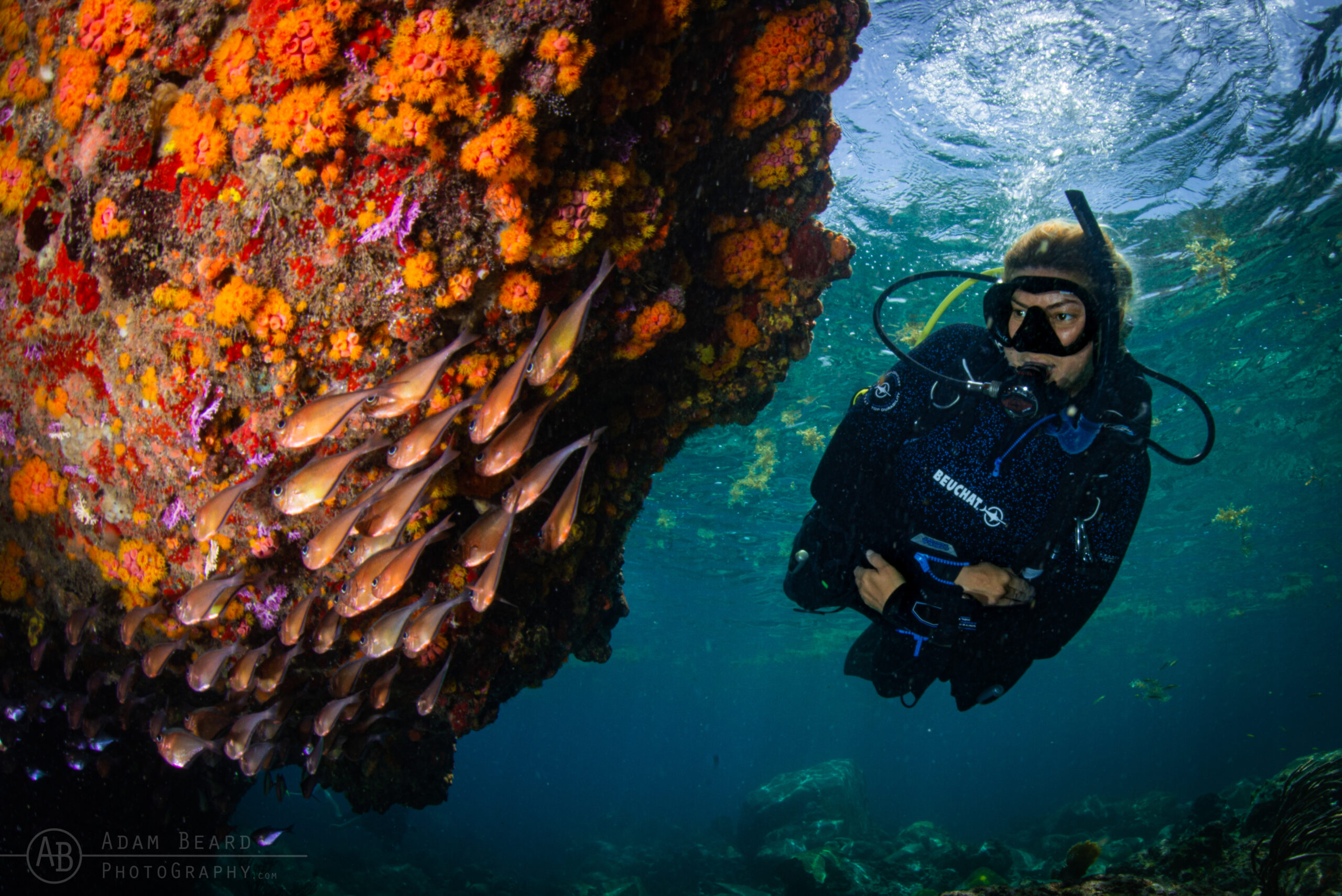 Scuba diver exploring the reef in St. Lucia