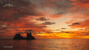 Sun Se View Of Roca Partida, Socorro