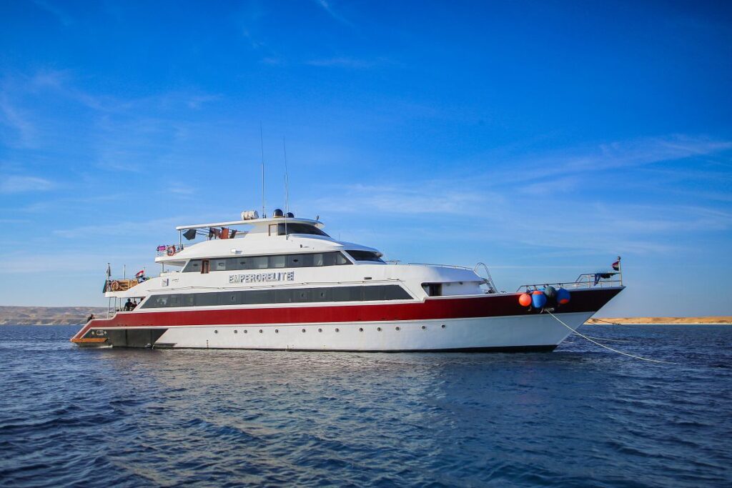 Liveaboard Diving in the Red Sea