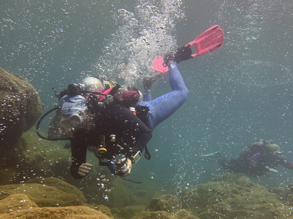 Geothermal bubbles rising from the seafloor at Champagne Reef in Dominica