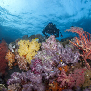 ARERajaAmpat229 scaled
