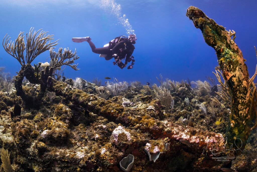Scuba Diving Statia and exploring history.