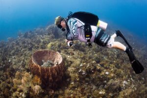 Scuba Diving Statia and meeting for friendly green sea turtles