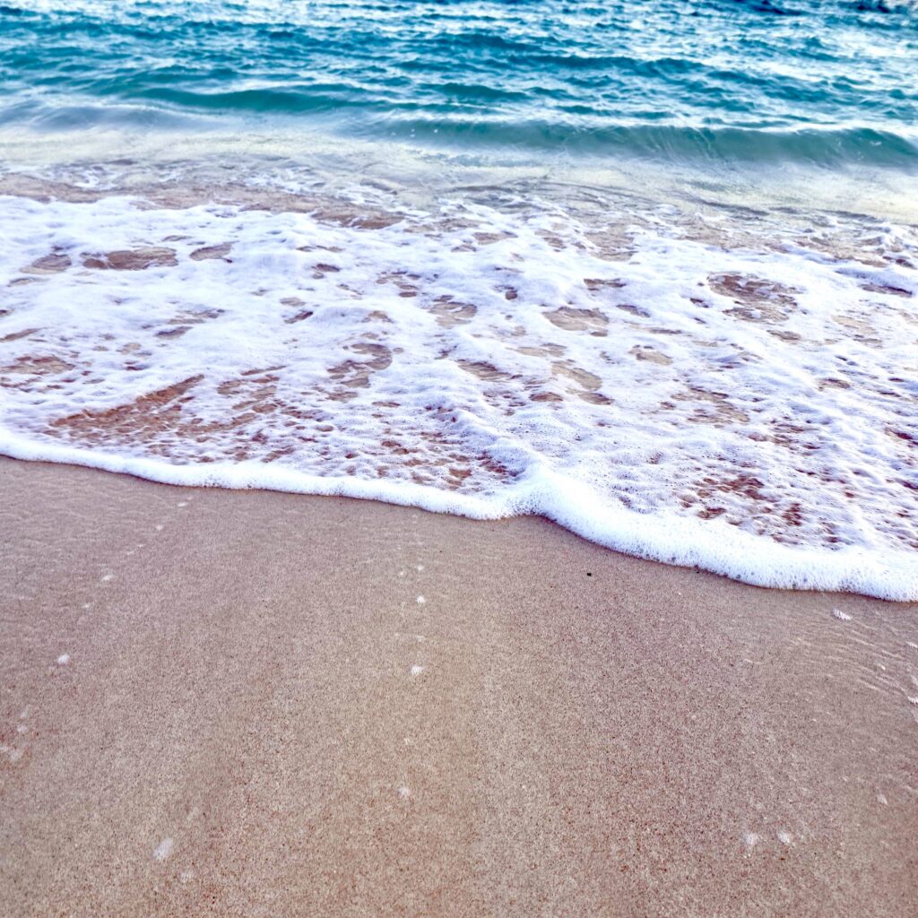 Pink Beach on a tropical island in Komodo National Park