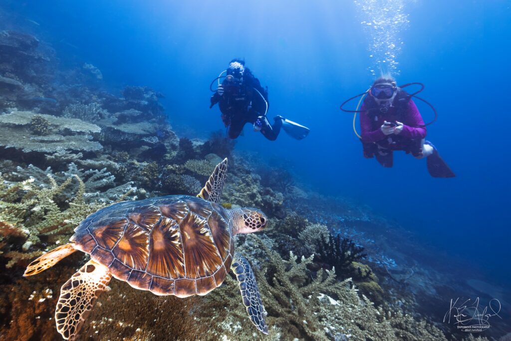 Adreon supporting divers during a GAS'D group trip